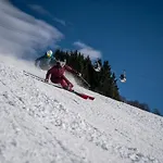 Vie Alpesi faház Viehhofen