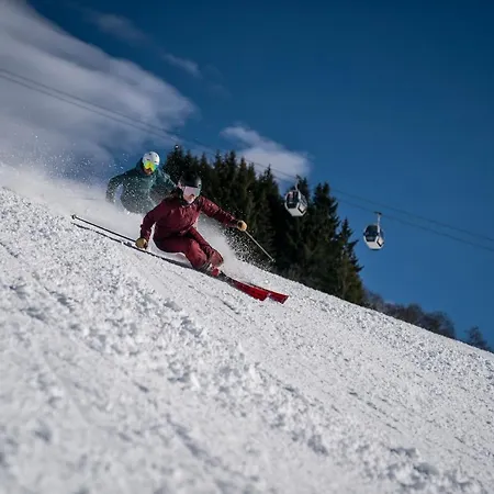 Vie Alpstuga Viehhofen