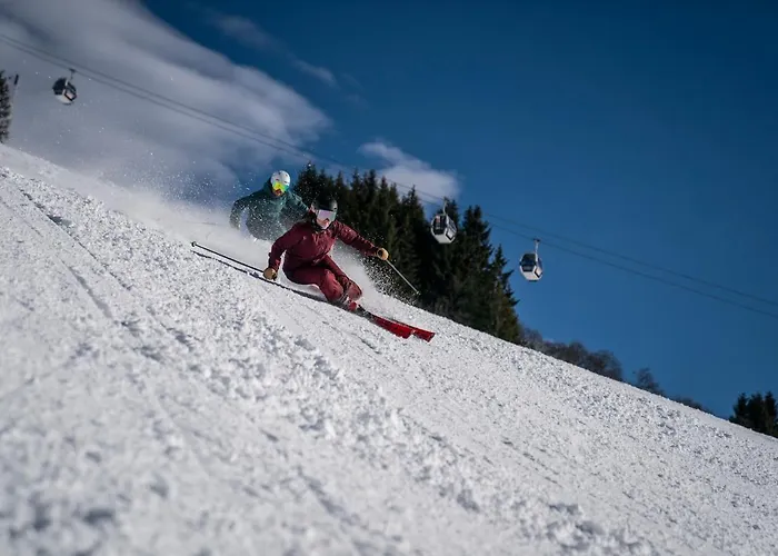 Vie Chalet Viehhofen